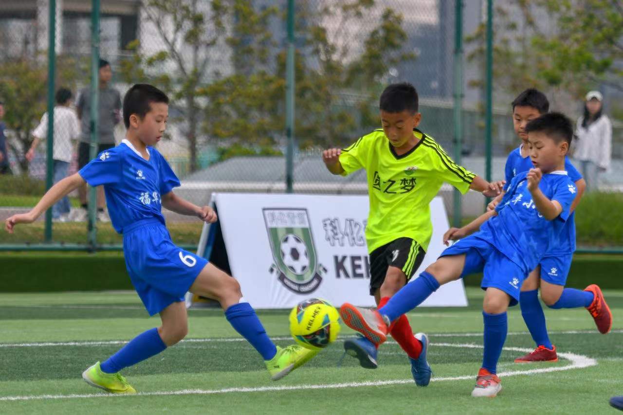 的调整也为 的调整也为