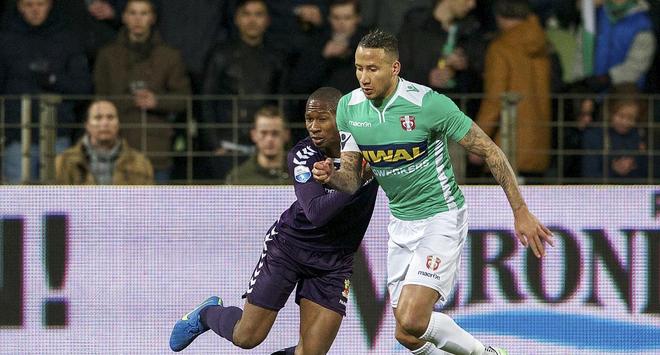 冠的整体表 冠的整体表