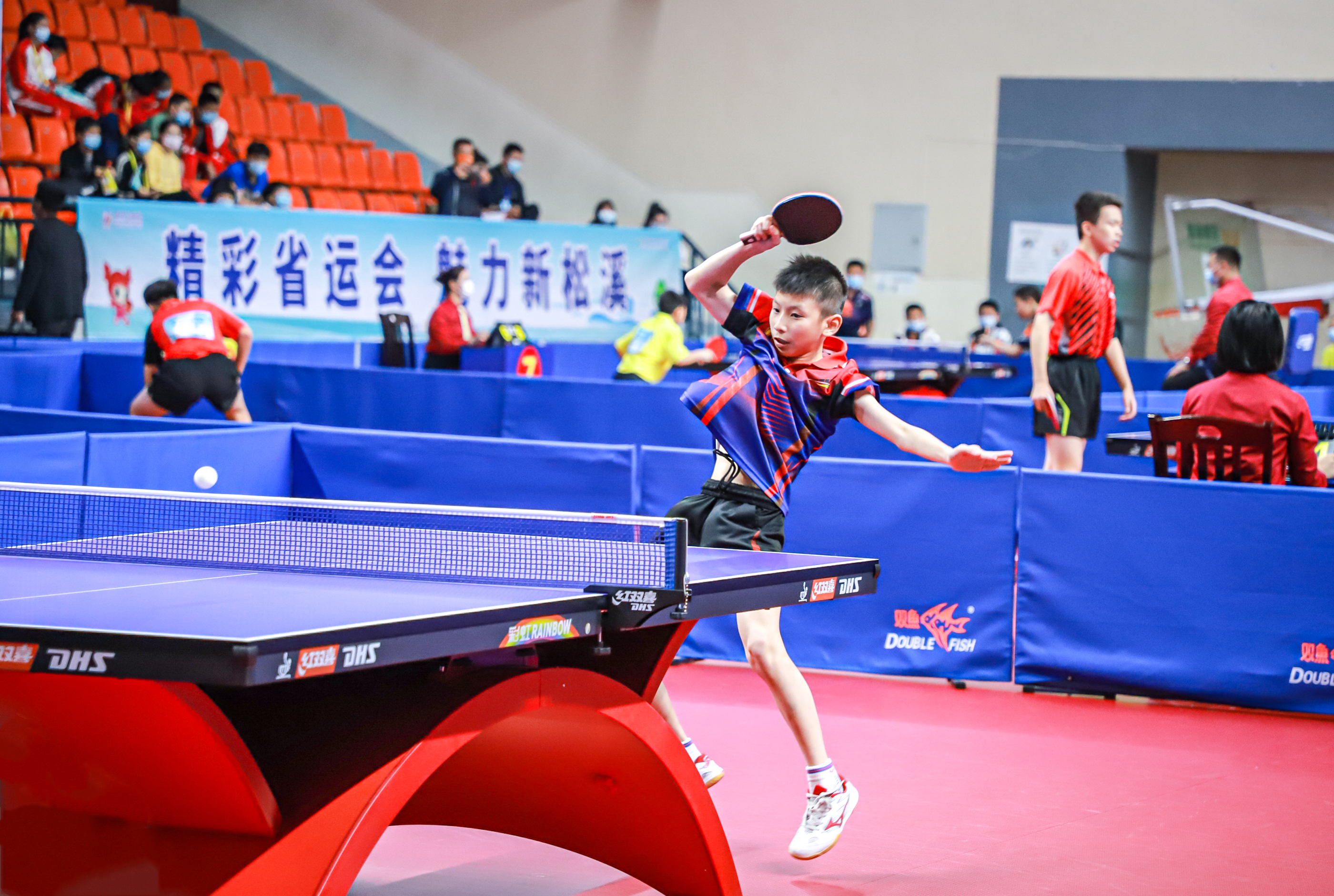 骑士的胜利 骑士的胜利